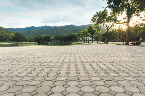 Best Concrete Paver Driveway  in Brownfield, TX